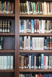 bookshelf with books
