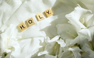 Scramble words spelling Holy on a cloth with flowers in the background