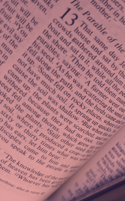 English Bible in Red