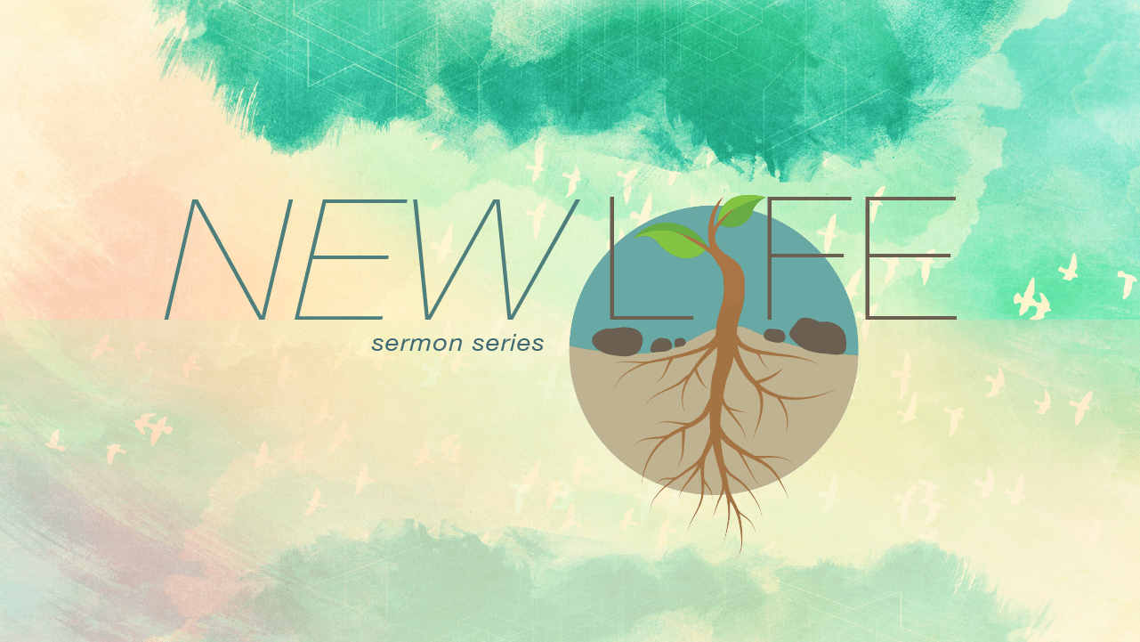 New Life: Change of Direction